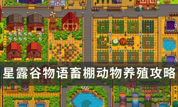 《星露谷物语》畜棚养什么最好 畜棚动物养殖攻略