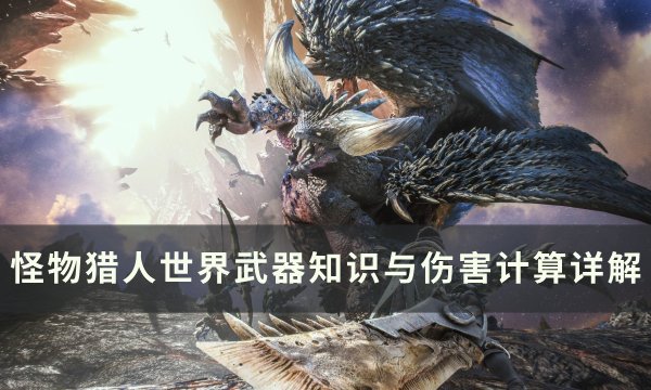 《怪物猎人世界》武器伤害怎么算 武器知识与伤害计算详解