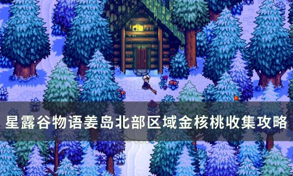 《星露谷物语》姜岛北部区域金核桃在哪 姜岛北部区域金核桃收集攻略