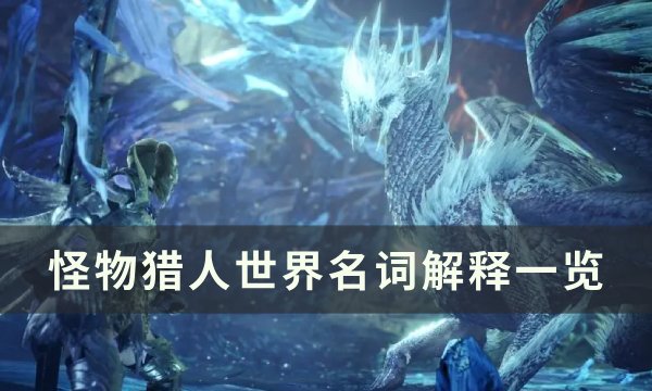 《怪物猎人世界》专用术语详解 名词解释一览