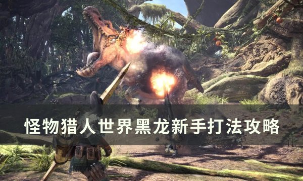 《怪物猎人世界》黑龙新手怎么打 黑龙新手​​​​​​​打法攻略