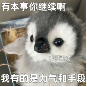 《家园、异星与猎人》：游戏官方太有良心让我怒玩一下午丨77乐园独家测评-B游