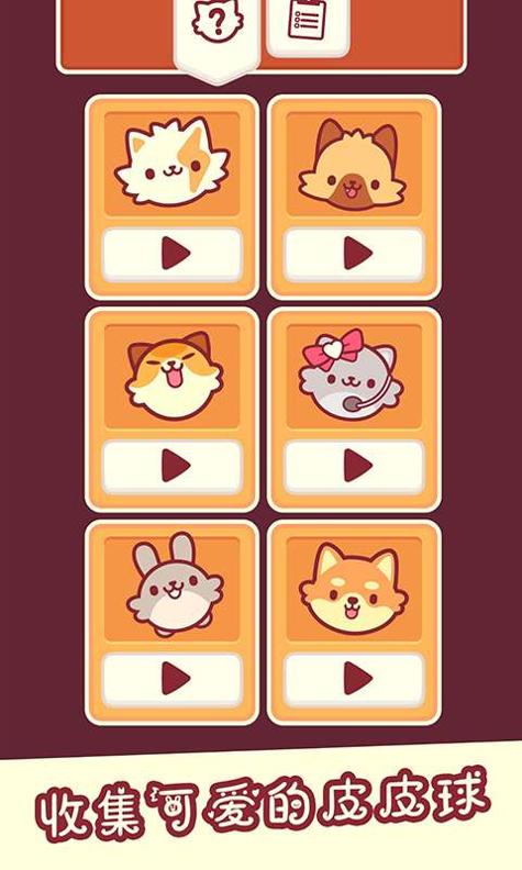 我是猫老大截图0