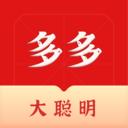 多多大聪明