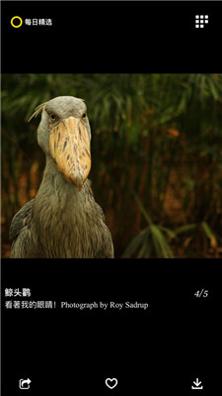 每日精选.jpg