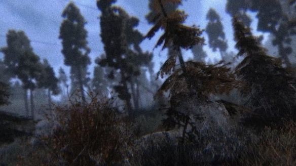 暗夜黑刺 2019-11-13 15:05