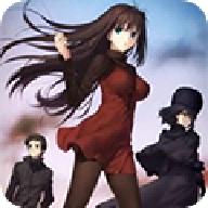 魔法使之夜安卓汉化版