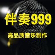 伴奏999软件