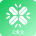 云收盒