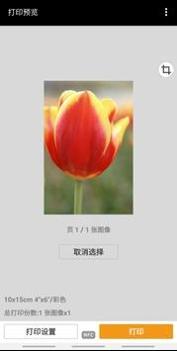 Canon Print截图2