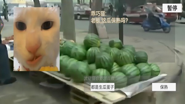 猫猫惊魂夜截图0