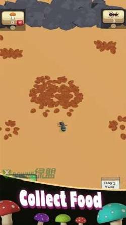 蚁丘的殖民地.jpg
