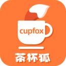 茶杯狐电影
