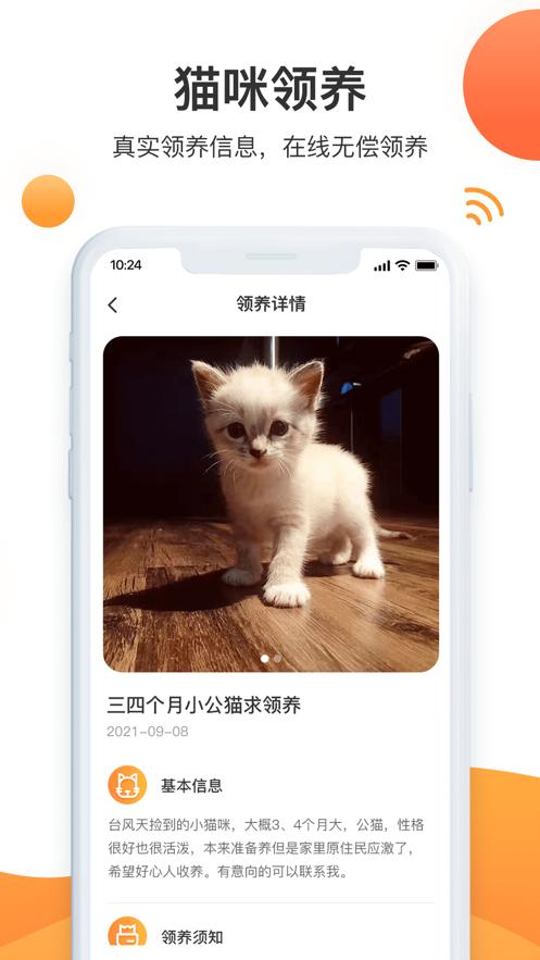 闪电世界短视频首码下载内测官方版 截图1