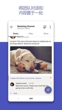 Microsoft Teams v3.2.5