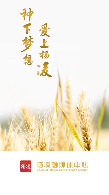 爱杨凌截图2