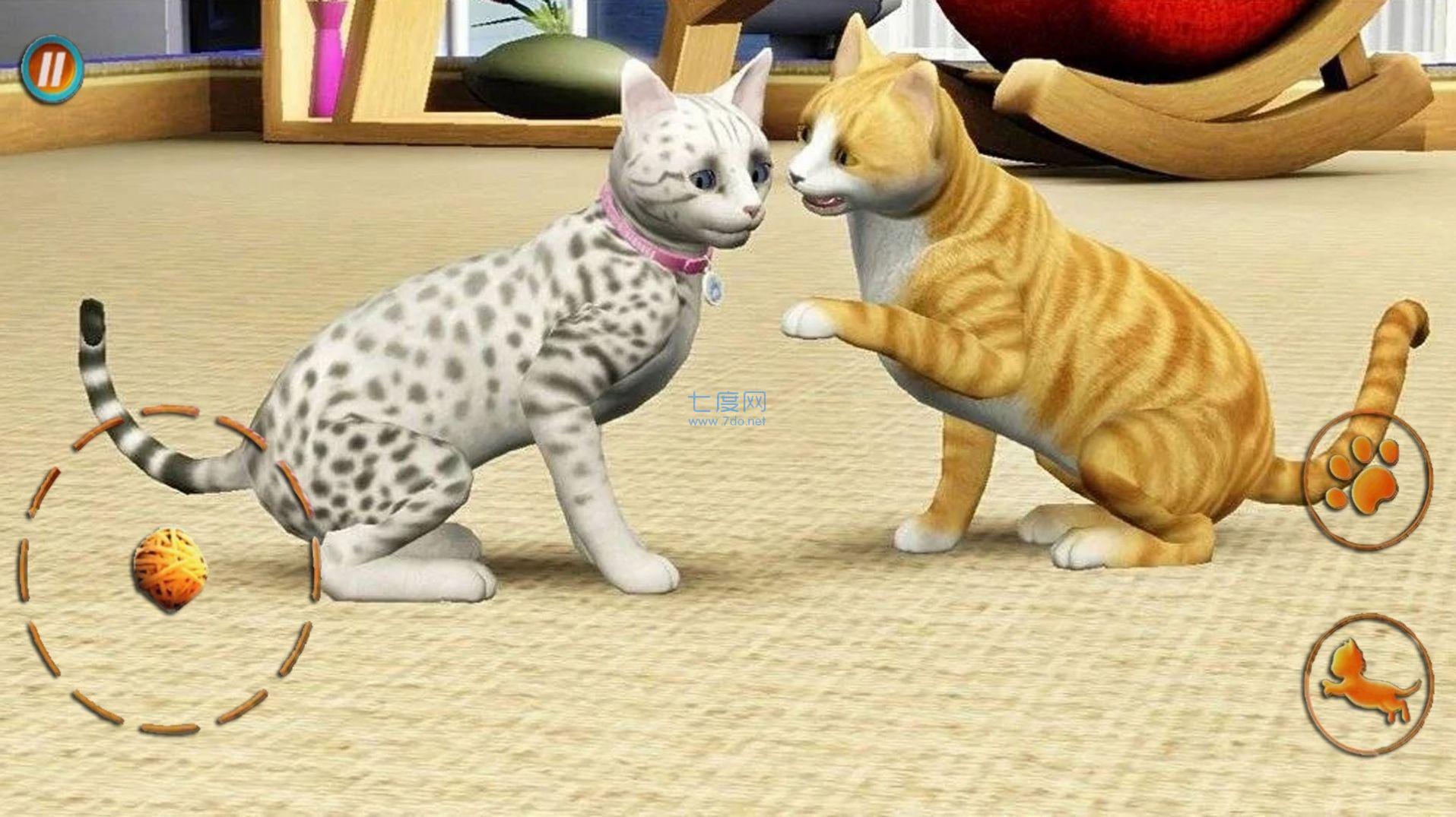 猫咪想恋爱游戏