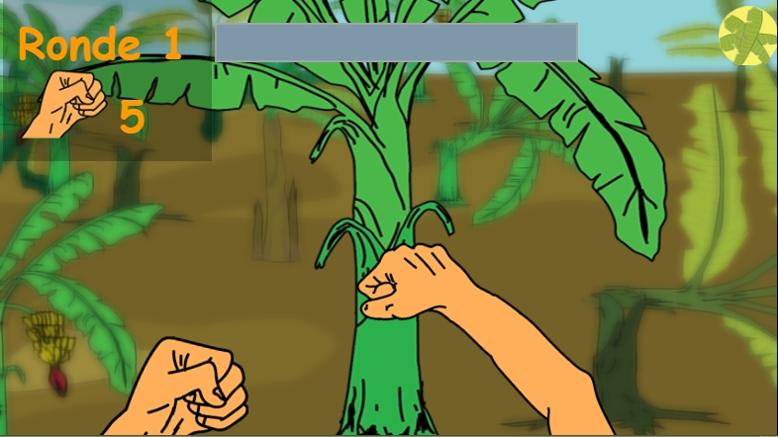 破坏热带植物.jpg