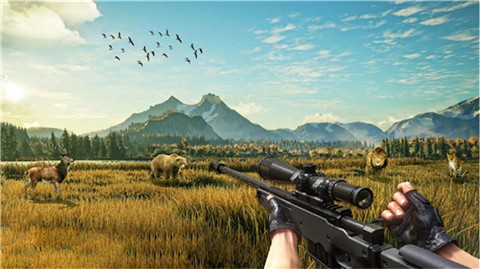 荒野狩猎求生  v1.0