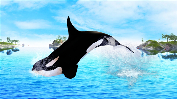 虎鲸模拟器官方版(The Killer Whale) v1.1.0