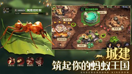 小小蚁国官网截图2