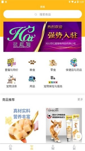 宠千岁截图1