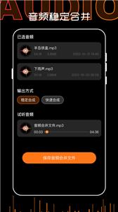 口袋录音机大师截图0