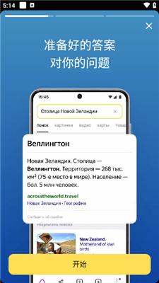 俄罗斯引擎浏览器