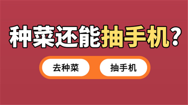 一起来收菜