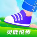 灵鹿悦步软件官方版 