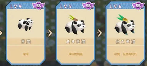 奇异大陆
