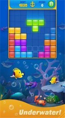 小鱼分类拼图游戏安卓版（FishSort Puzzle） 截图0