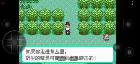 口袋妖怪鲤鱼王的逆袭手机版  v1.0