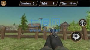 鸽子射击(Pigeon Shoot)
