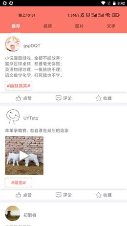 糖言蜜语.png