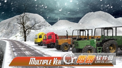 真实货车运输游戏 v1.4 安卓版