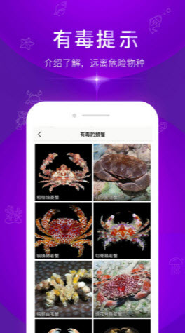 拍照识别鱼品种.jpg