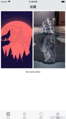 1645583609865026.jpg