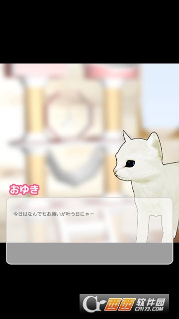 小猫与七夕之夜
