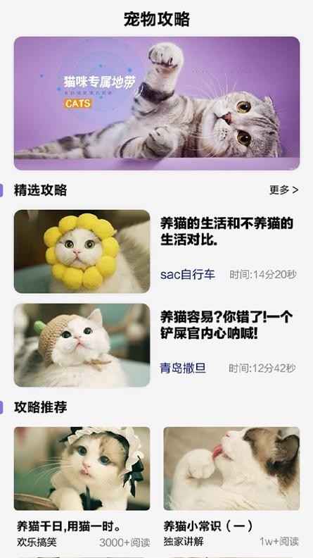 可爱喵喵壁纸大全.jpg