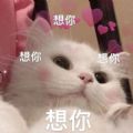 2021微信卖萌表情包图片
