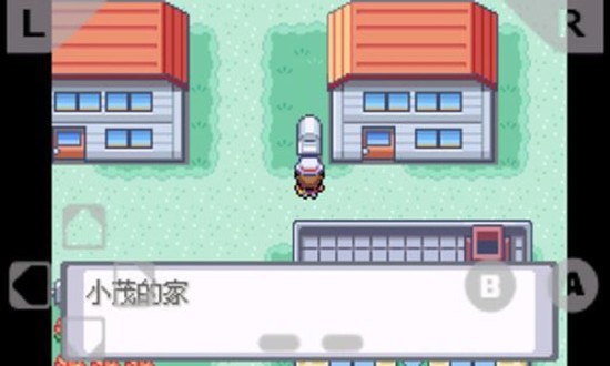 口袋妖怪火红破解版截图2
