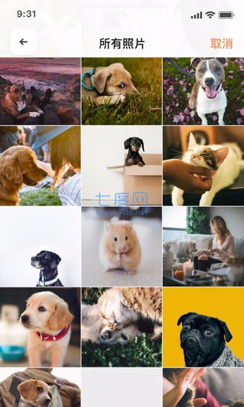 萌邦截图0