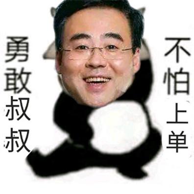 勇敢叔叔不怕上单表情包图片截图0