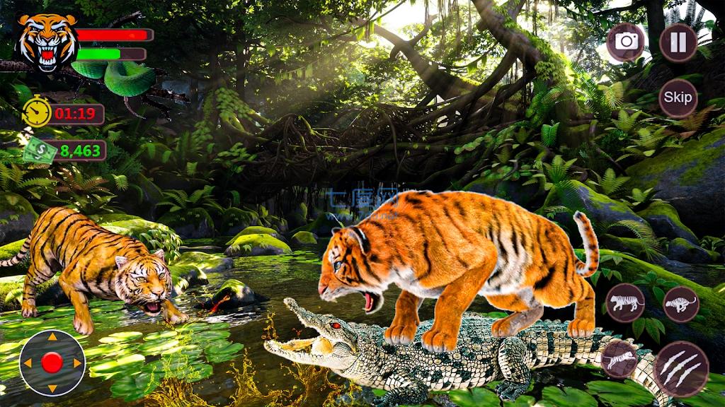 3d老虎模拟器Tiger SimulatorGame