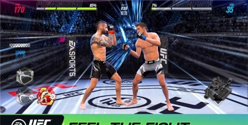 UFC终极格斗冠军