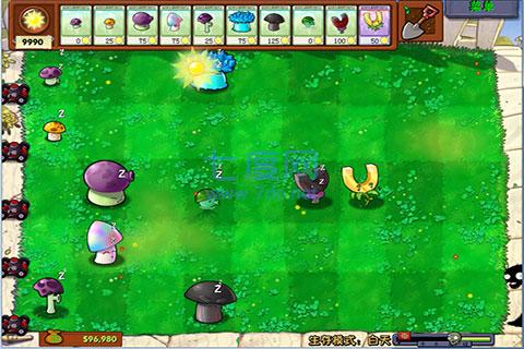 植物大战僵尸1经典版 2.1