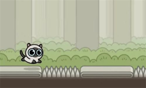 冒险猫无广告