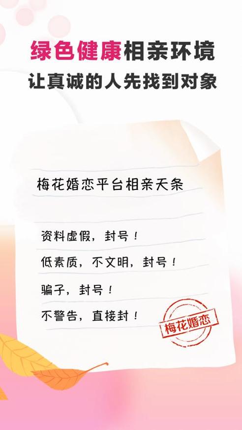 梅花婚恋截图0