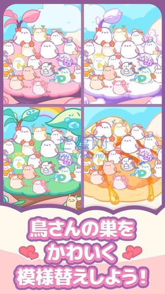 小鸟收集